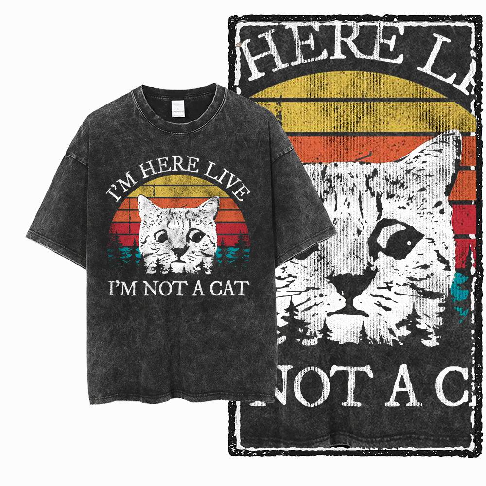 Camiseta de hombre con gráfico - Acid Wash Vintage Graphic T Shirt reseña y precio